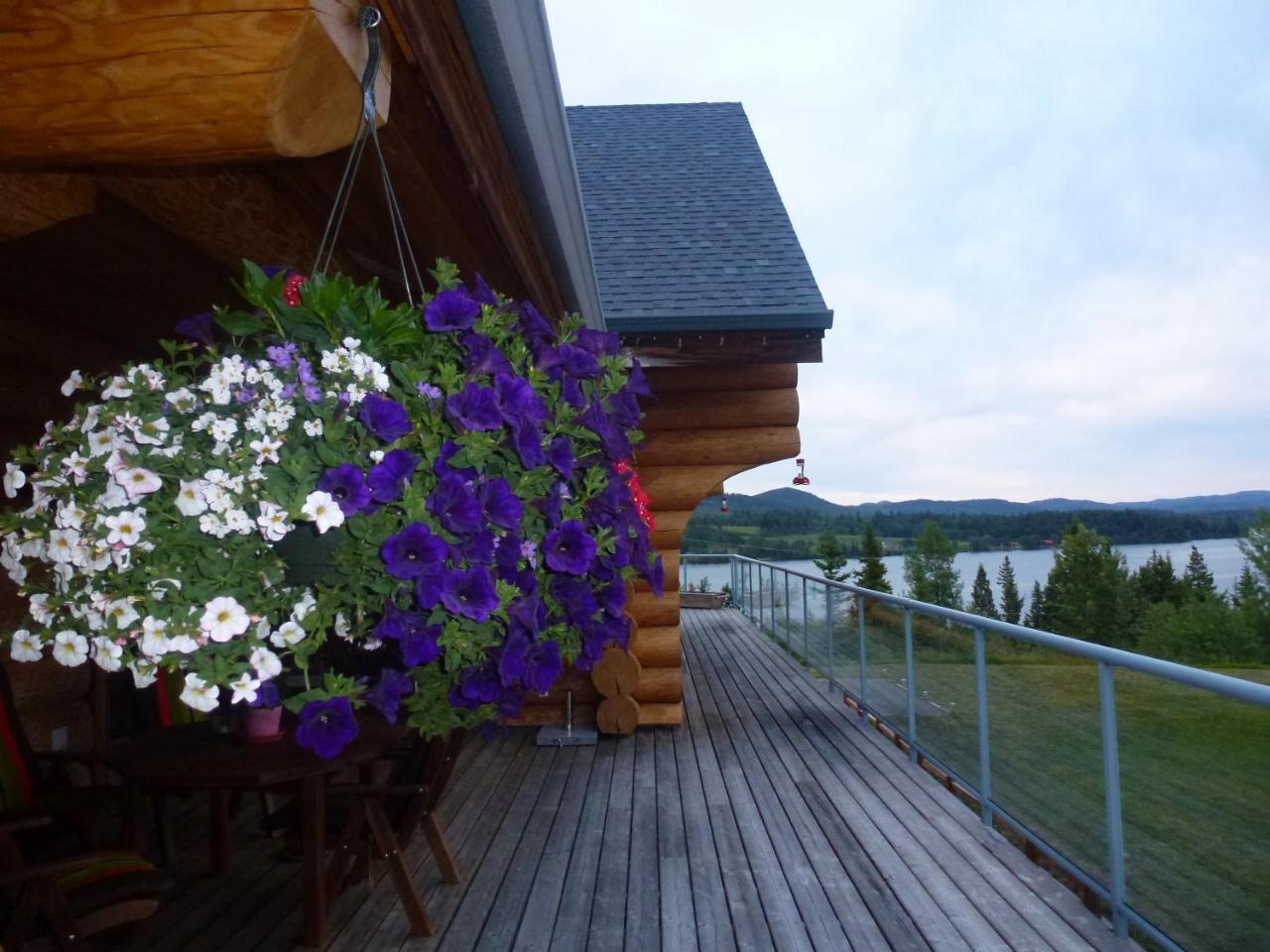 Little Black Bear Lodge/B&B Bridge Lake エクステリア 写真