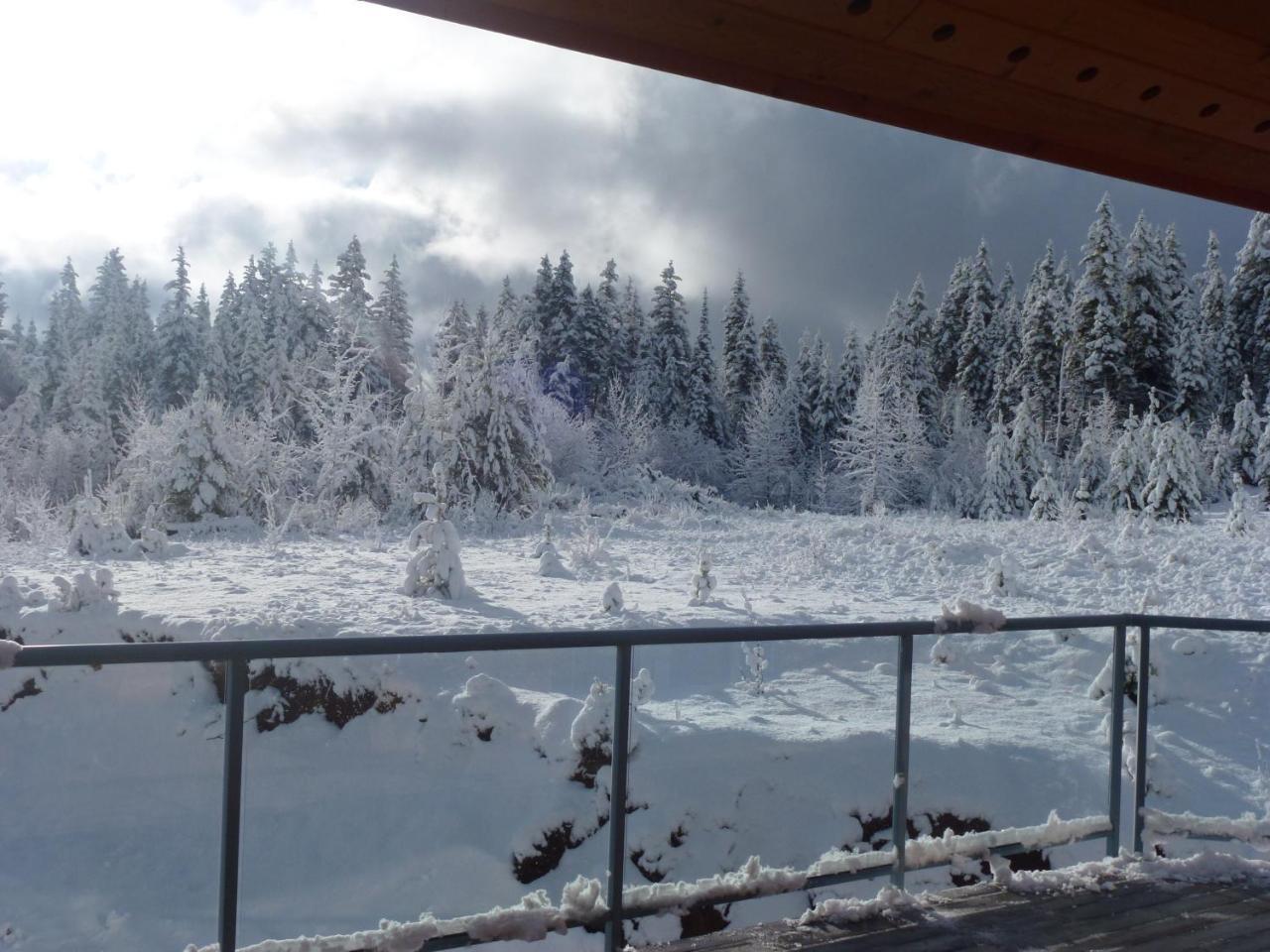 Little Black Bear Lodge/B&B Bridge Lake エクステリア 写真