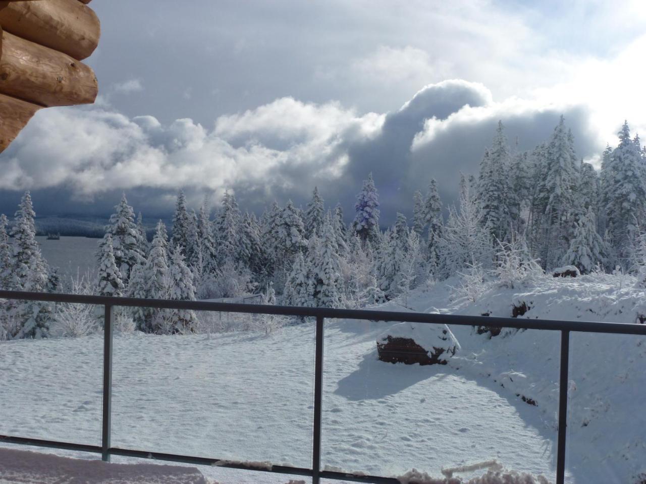 Little Black Bear Lodge/B&B Bridge Lake エクステリア 写真