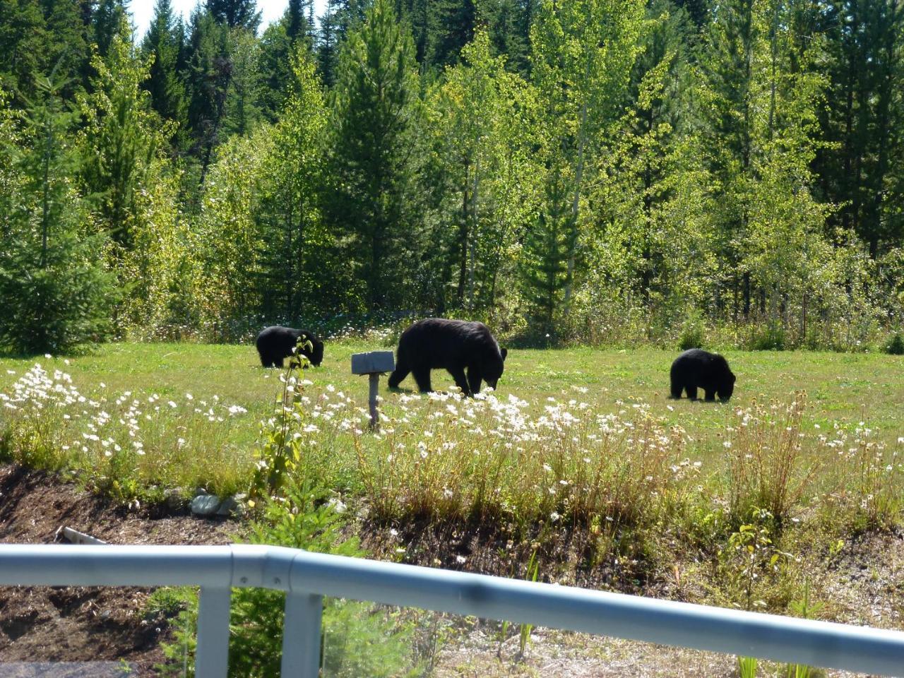 Little Black Bear Lodge/B&B Bridge Lake エクステリア 写真